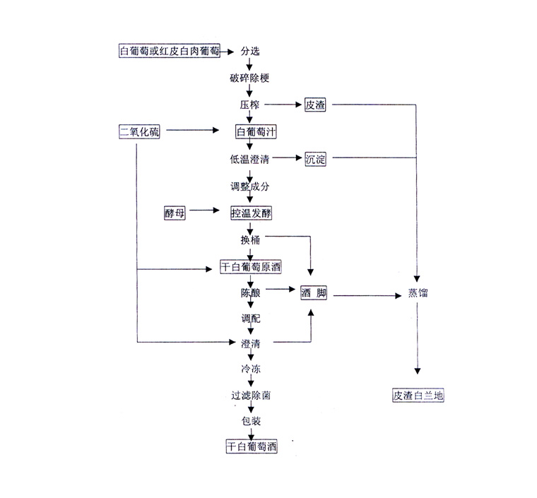 干白葡萄酒生产工艺流程